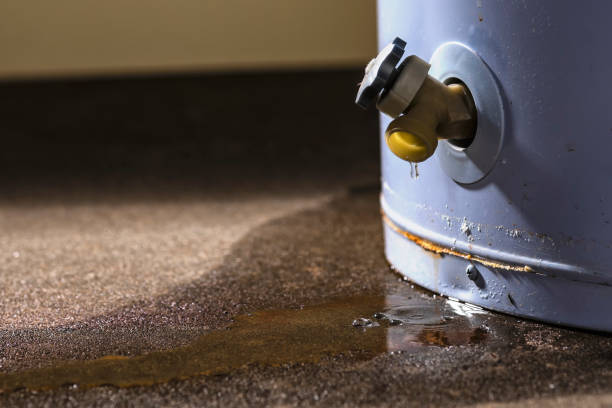 Best Local water damage restoration  in Childress, TX