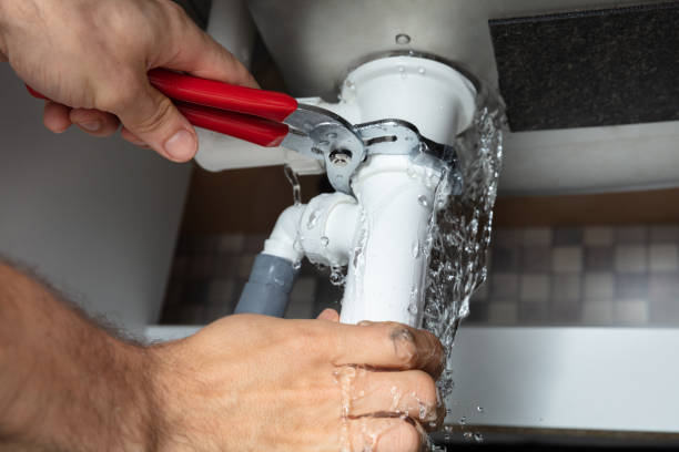 Best Mold removal after water damage  in Childress, TX