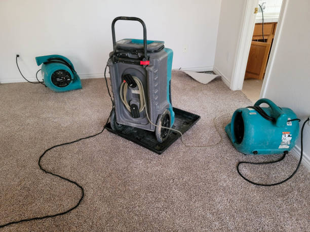 Best Professional water damage repair  in Childress, TX