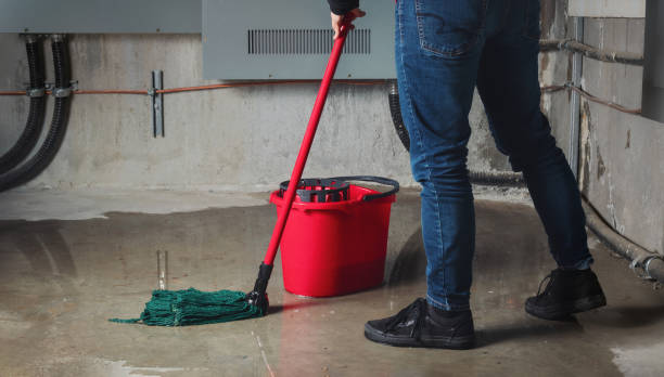 Best Water damage repair service  in Childress, TX