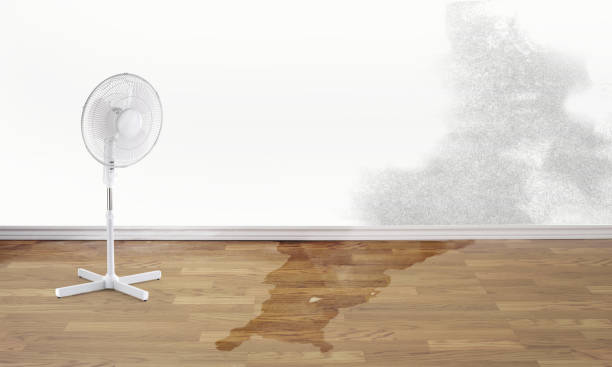 Best Water damage contractors near me  in Childress, TX