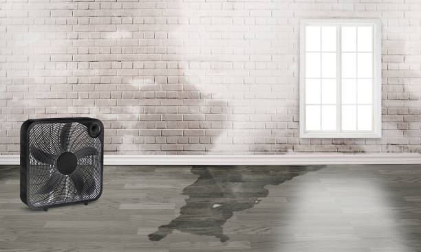 Best Fire Damage Restoration  in Childress, TX
