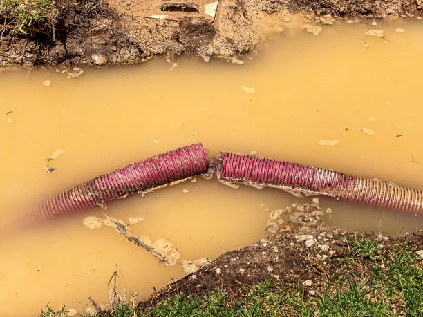 Best Water damage restoration near me  in Childress, TX